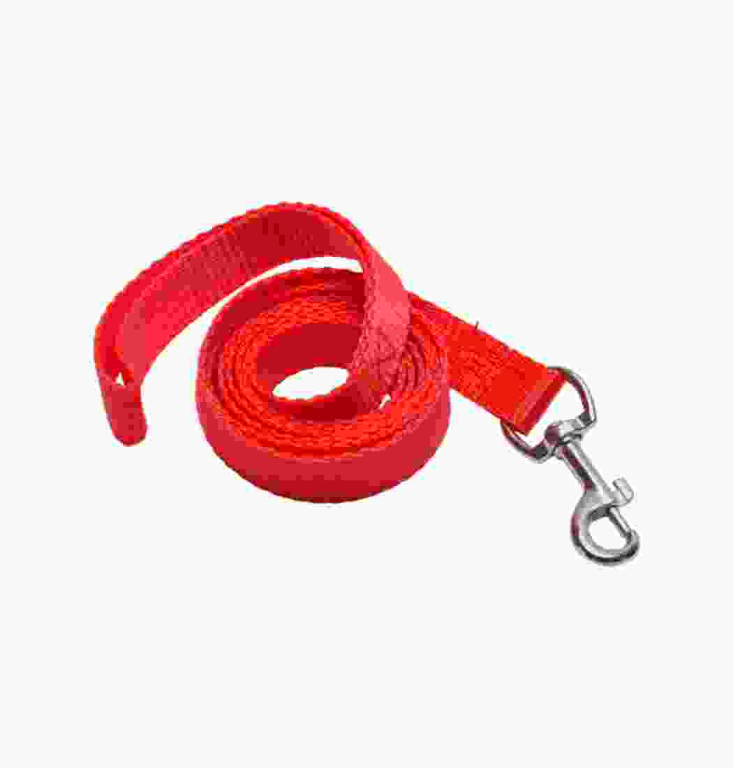 Dog Collar Belt