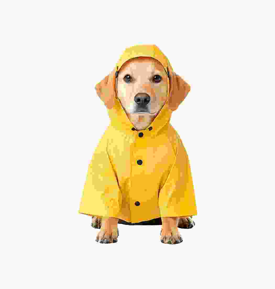 Dog Raincoat