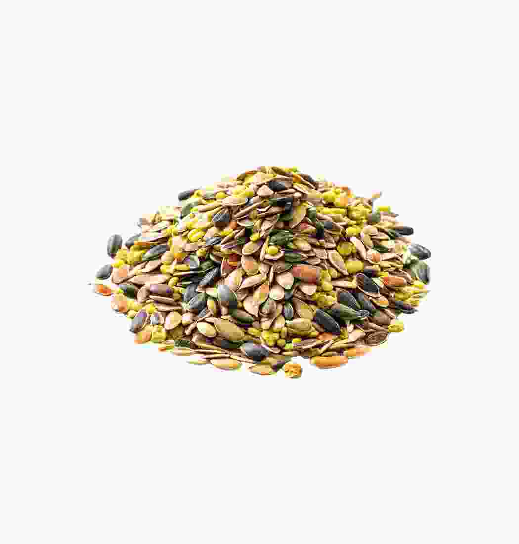 Birds Mixed Seed