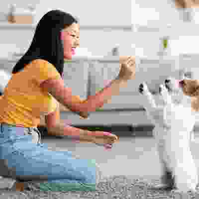 h1-gallery-img-04