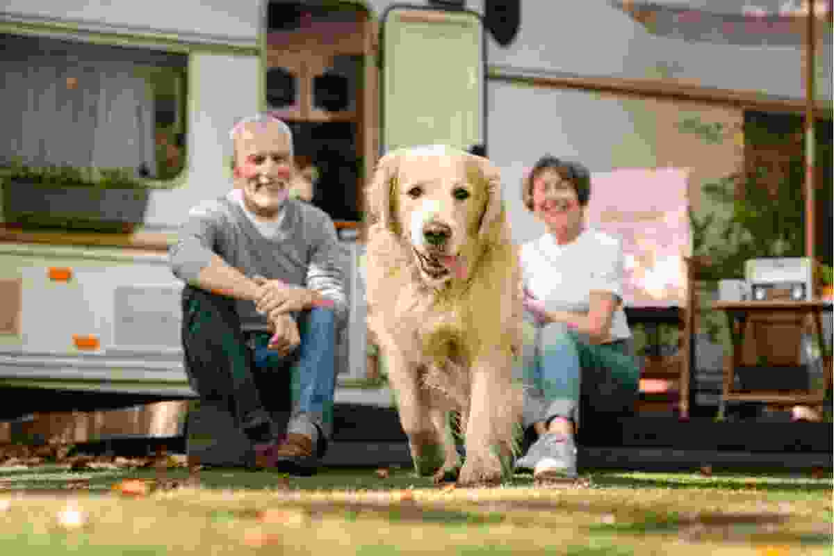 pets-friendly-img